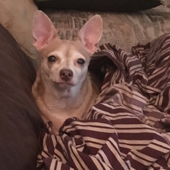 Meet your Posher, Karen - Picture 1 of 1